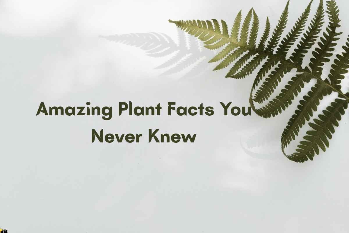 Amazing Plant Facts You Never Knew