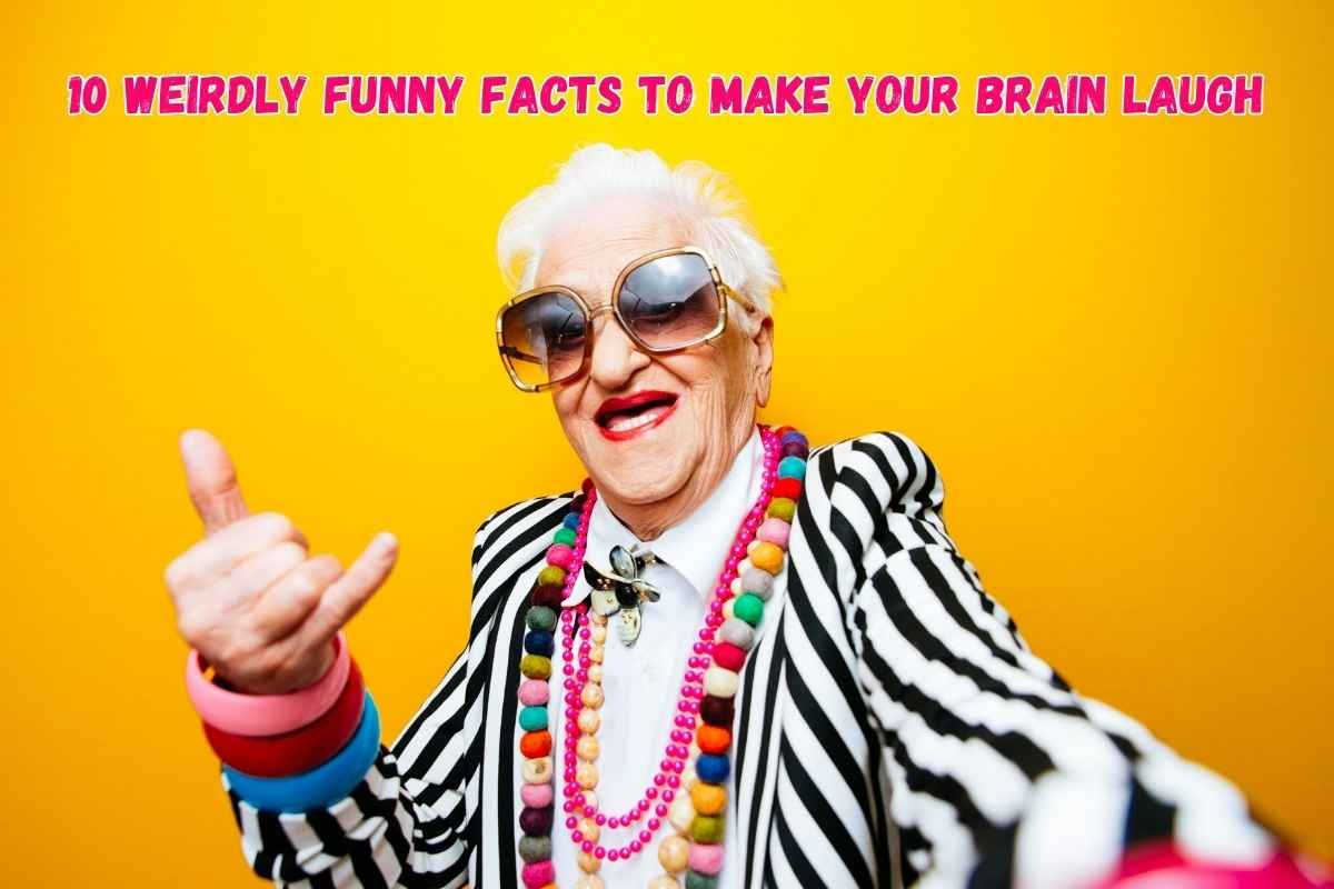 10 Weirdly Funny Facts to Make Your Brain Laugh
