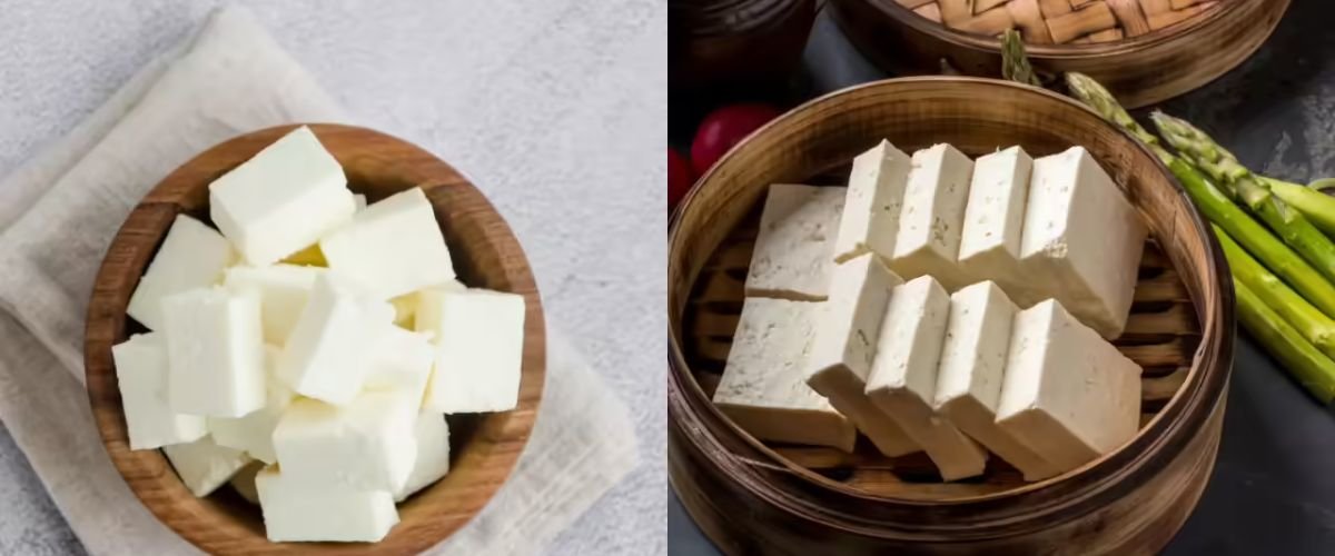 Paneer or Tofu? Which Is Better for Weight Loss and Muscle Gain